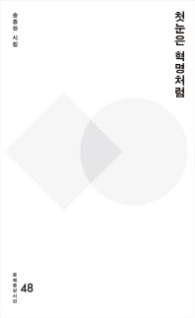 첫눈은 혁명처럼 (문예중앙시선 48)